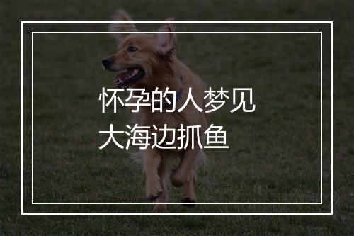 怀孕的人梦见大海边抓鱼