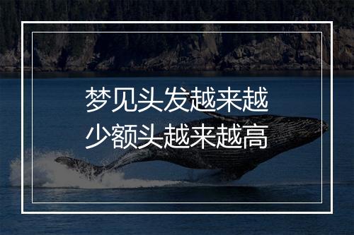 梦见头发越来越少额头越来越高