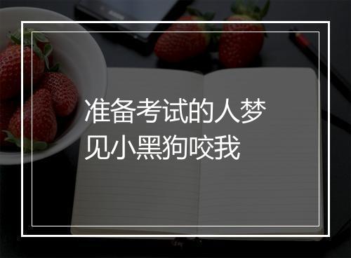 准备考试的人梦见小黑狗咬我