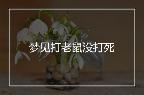 梦见打老鼠没打死