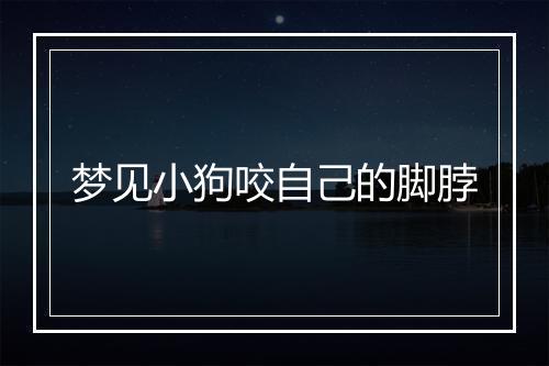 梦见小狗咬自己的脚脖