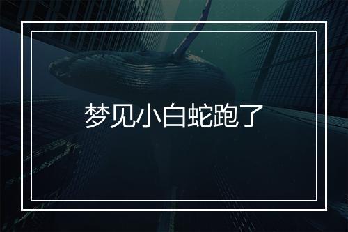 梦见小白蛇跑了