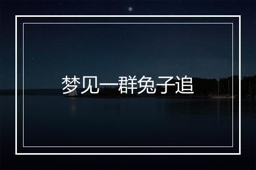 梦见一群兔子追