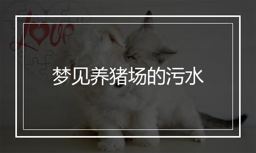 梦见养猪场的污水