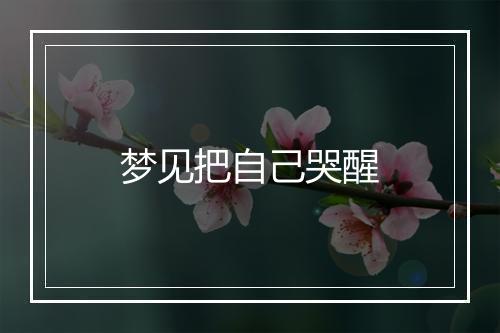 梦见把自己哭醒