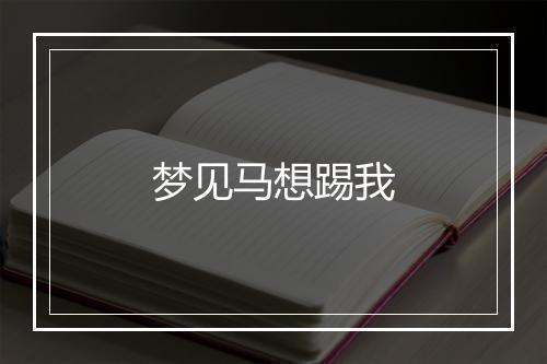 梦见马想踢我