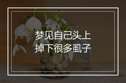 梦见自己头上掉下很多虱子