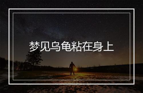 梦见乌龟粘在身上