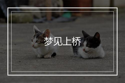 梦见上桥