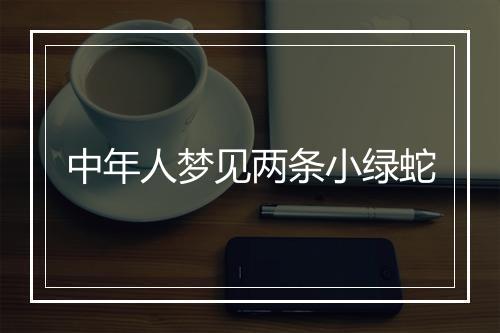 中年人梦见两条小绿蛇