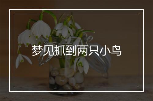 梦见抓到两只小鸟