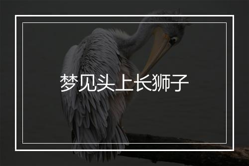 梦见头上长狮子