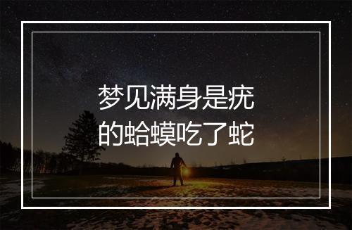 梦见满身是疣的蛤蟆吃了蛇