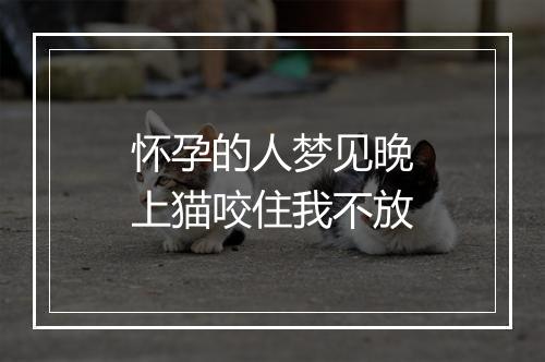 怀孕的人梦见晚上猫咬住我不放