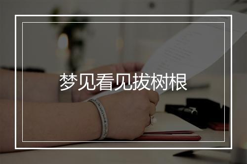 梦见看见拔树根