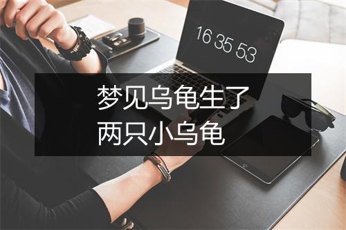 梦见乌龟生了两只小乌龟