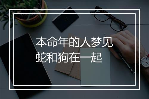 本命年的人梦见蛇和狗在一起