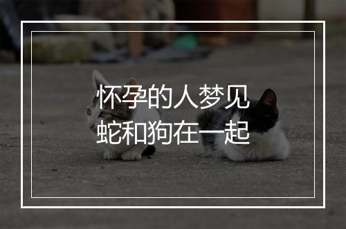 怀孕的人梦见蛇和狗在一起