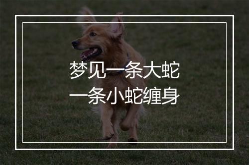 梦见一条大蛇一条小蛇缠身