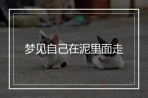 梦见自己在泥里面走