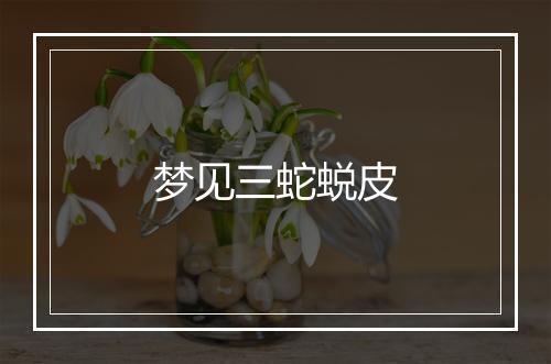 梦见三蛇蜕皮