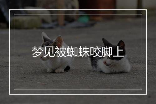 梦见被蜘蛛咬脚上