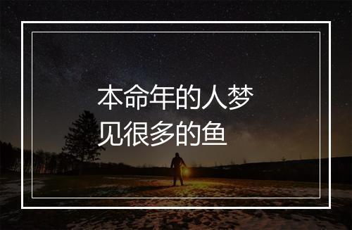 本命年的人梦见很多的鱼