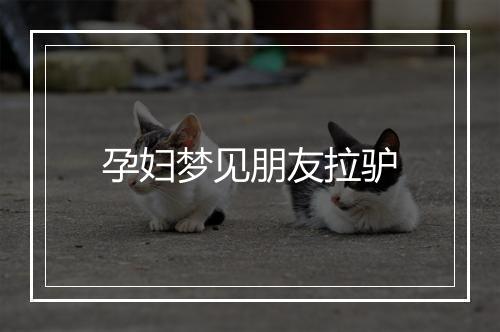 孕妇梦见朋友拉驴