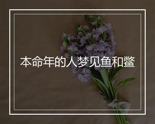 本命年的人梦见鱼和鳖