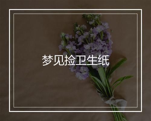 梦见捡卫生纸