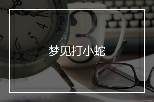 梦见打小蛇