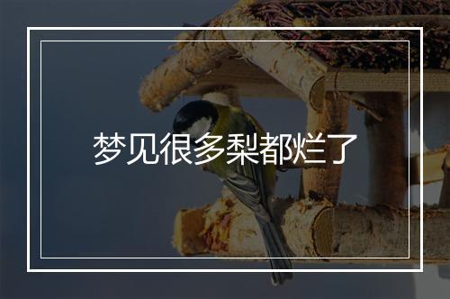 梦见很多梨都烂了