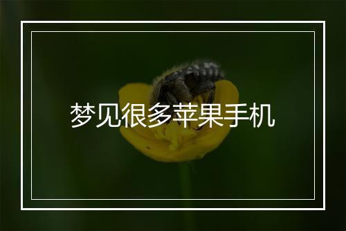 梦见很多苹果手机