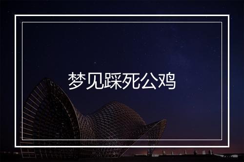 梦见踩死公鸡