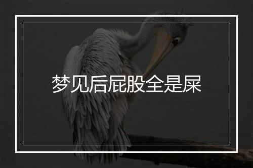 梦见后屁股全是屎