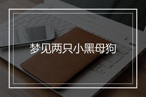 梦见两只小黑母狗