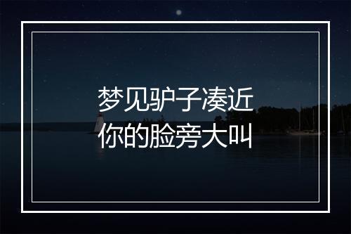 梦见驴子凑近你的脸旁大叫