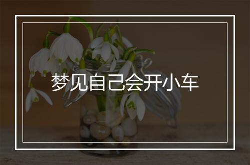 梦见自己会开小车