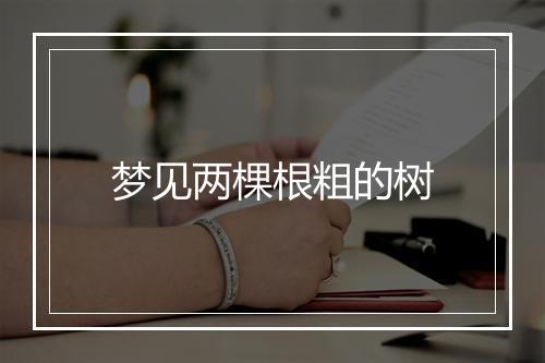 梦见两棵根粗的树