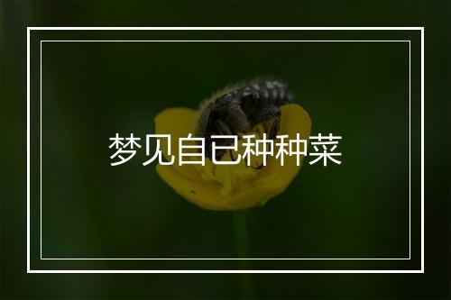 梦见自已种种菜