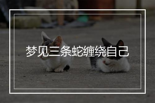 梦见三条蛇缠绕自己