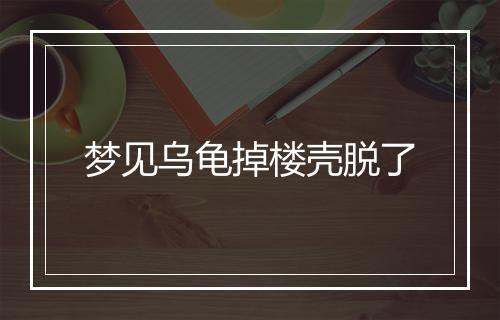 梦见乌龟掉楼壳脱了