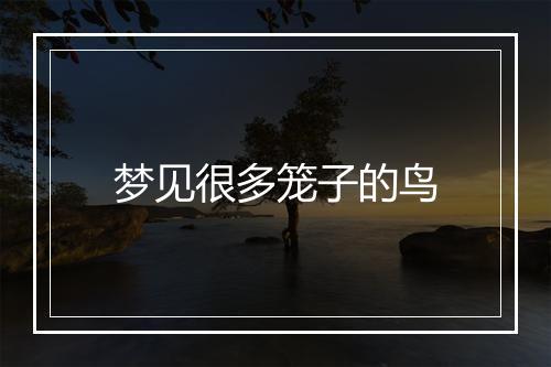 梦见很多笼子的鸟