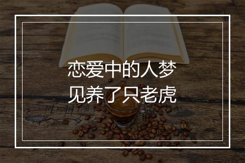 恋爱中的人梦见养了只老虎