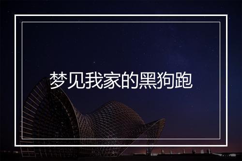 梦见我家的黑狗跑