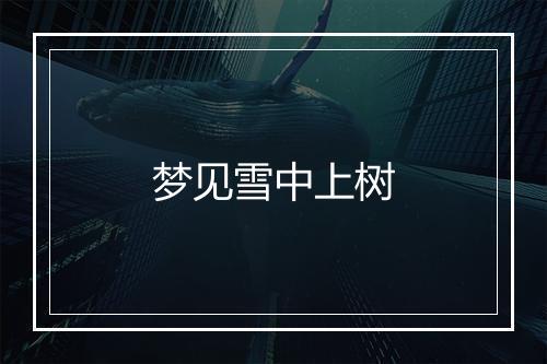 梦见雪中上树