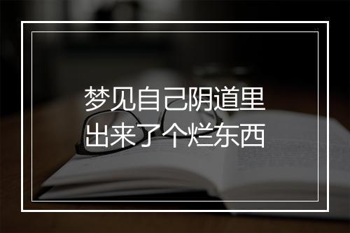 梦见自己阴道里出来了个烂东西