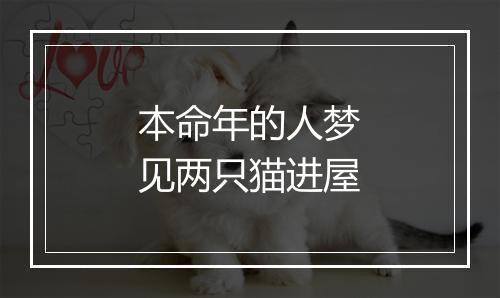 本命年的人梦见两只猫进屋