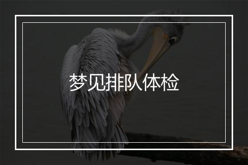 梦见排队体检