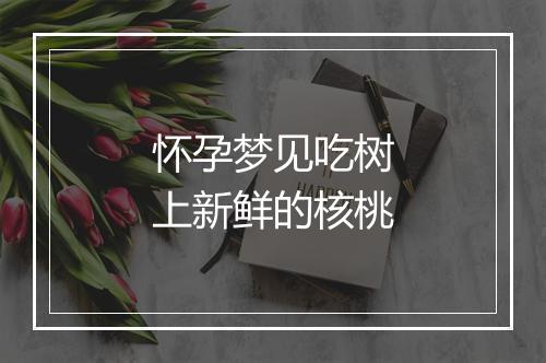 怀孕梦见吃树上新鲜的核桃